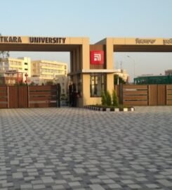 Chitkara University