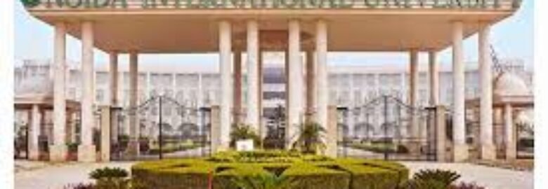 Noida International University